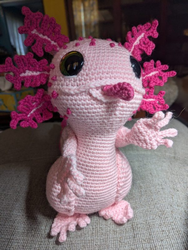 Axolotl photo review