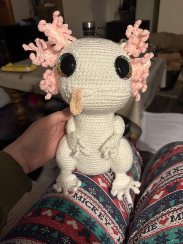 Axolotl photo review