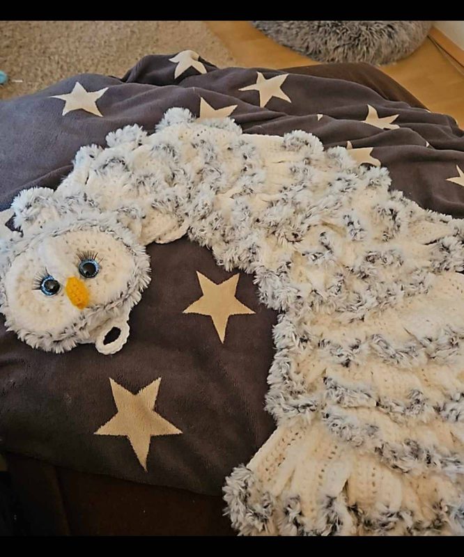 Crochet Baby Blanket Pattern Crochet Owl Hooded Blanket Unique