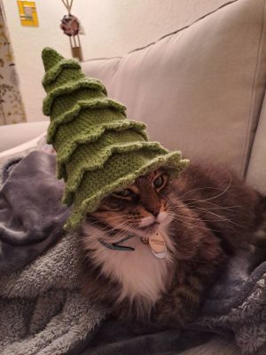 Christmas Tree Hat photo review