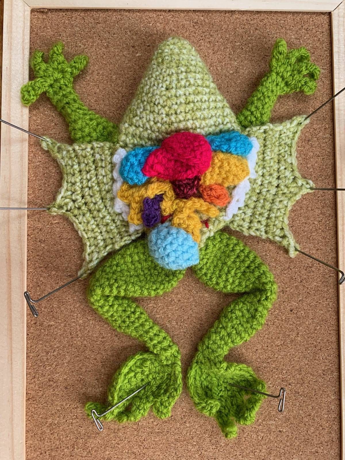 Crochet Dissected Frog Amigurumi Pattern Review by Kate Dell-Smith for Cottontail and Whiskers