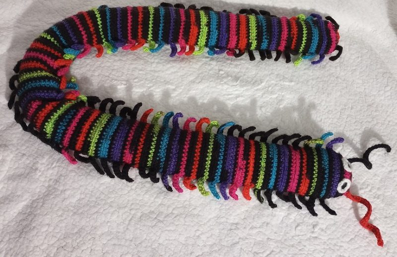 Giant Centipede photo review