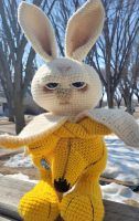 Crochet Amigurumi Bunny Rabbit Doll Pattern Review by Melissa Walsh for Cottontail Whiskers