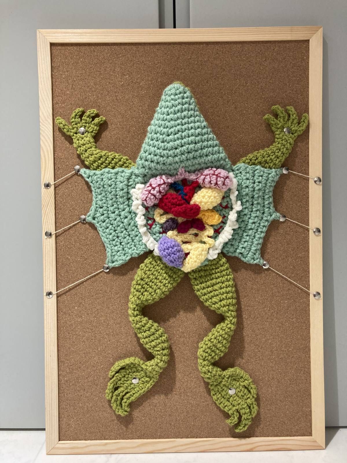 Dissected Frog Crochet Amigurumi Pattern Review by Eva Black for Cottontail and Whiskers